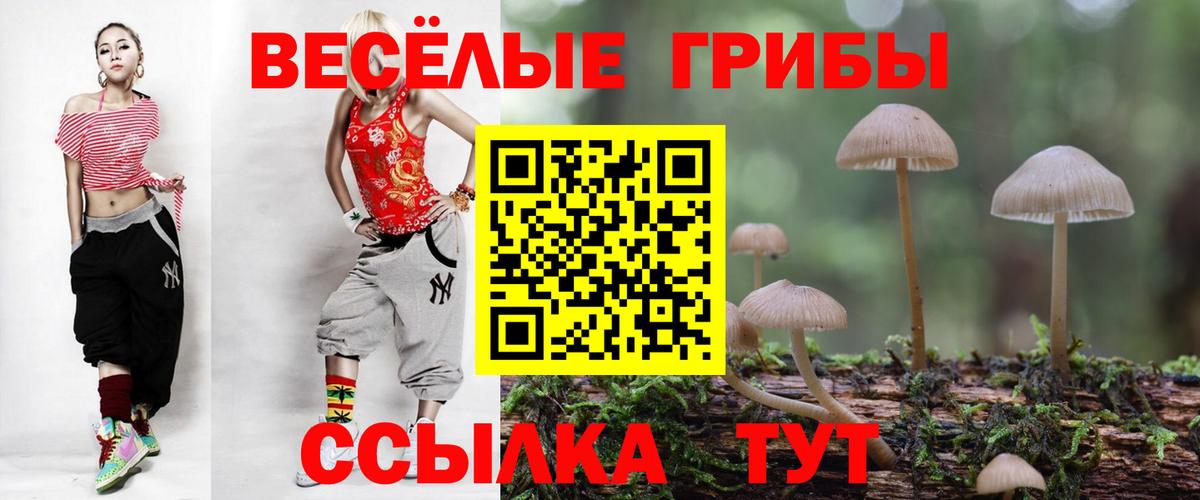 Галлюциногенные грибы мухоморы  Галлюциногенные грибы GOLDEN TEACHER  Астрахань  Вход с VPN 