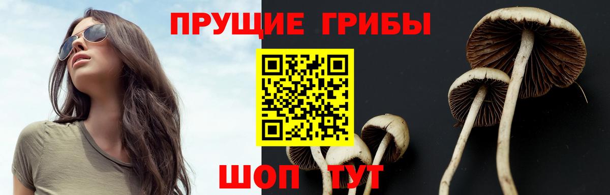 Галлюциногенные грибы GOLDEN TEACHER Астрахань